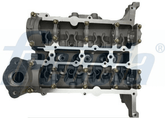 Zylinderkopf für FORD B-MAX C-MAX II ECOSPORT FIESTA VI FOCUS III Stufenheck