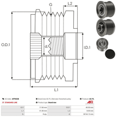 Lichtmaschine Generatorfreilauf für JEEP