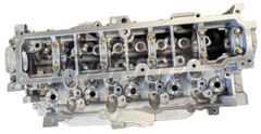 Zylinderkopf für CITROËN FIAT FORD PEUGEOT VOLVO DS BERLINGO / FIRST