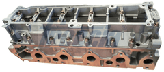 Zylinderkopf für CITROËN FIAT FORD PEUGEOT VOLVO DS BERLINGO / FIRST