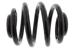 2x Fahrwerksfeder Hinterachse für AUDI VW A3 TT Roadster GOLF IV