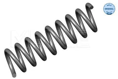 Fahrwerksfeder Vorderachse für MERCEDES-BENZ CLK Cabriolet E-KLASSE T-Model