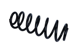 2x Fahrwerksfeder Hinterachse für VW CC B7 PASSAT B6