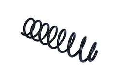 2x Fahrwerksfeder Hinterachse für RENAULT MEGANE II