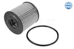 Ölfilter für CITROËN FIAT FORD JAGUAR LANCIA MITSUBISHI OPEL PEUGEOT TOYOTA