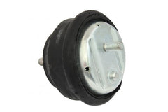 Lagerung Motor für BMW 3 Coupe Cabriolet Compact Touring Z4 Roadster