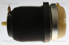 Luftfeder Fahrwerk Hinterachse für AUDI A6 Allroad C6