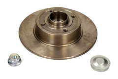 2x Bremsscheibe Hinterachse für NISSAN RENAULT NOTE CLIO III Grandtour MEGANE