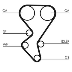 Zahnriemen für CITROËN FIAT FORD MAZDA PEUGEOT SUZUKI VOLVO MINI BERLINGO /
