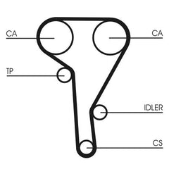 Zahnriemen für AUDI NISSAN 80 B4 Stufenheck Avant 100 C4 A6 COUPE B3