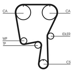 Zahnriemen für SEAT VW CORDOBA IBIZA II POLO III