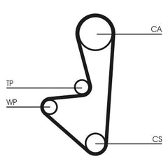 Zahnriemen für CITROËN PEUGEOT AX BX Break C15 Kombi SAXO XSARA Coupe PICASSO