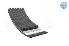 Keilrippenriemen für SEAT SKODA TOYOTA VW CORDOBA IBIZA III FABIA I Stufenheck