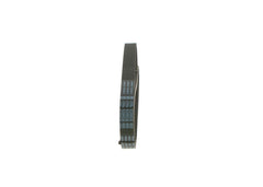Keilrippenriemen für ALFA ROMEO AUDI CITROËN FIAT MAN NISSAN PEUGEOT SEAT SKODA