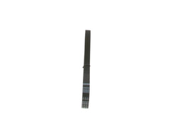 Keilrippenriemen für AUDI CITROËN DAIHATSU FIAT LADA NISSAN PEUGEOT TOYOTA MINI