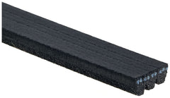 Keilrippenriemen für HONDA MG NISSAN RENAULT ROVER DACIA CIVIC III Stufenheck