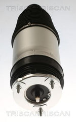 Luftfeder Fahrwerk Vorderachse für TESLA MODEL S