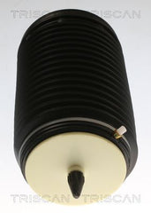 Luftfeder Fahrwerk Hinterachse rechts für AUDI A6 C7 Avant A7 Sportback