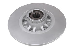 2x Bremsscheibe Hinterachse für FIAT NISSAN OPEL RENAULT TALENTO Bus Kasten