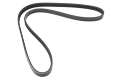 Keilrippenriemen für FIAT HONDA JAGUAR LANCIA MITSUBISHI RENAULT ROVER TOYOTA