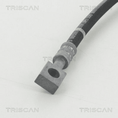Bremsschlauch Hinterachse links für NISSAN CABSTAR NT400
