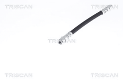 Bremsschlauch Hinterachse für RENAULT CLIO II THALIA I TWINGO WIND