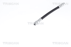 Bremsschlauch Hinterachse für RENAULT CLIO II THALIA I TWINGO WIND