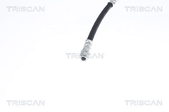 Bremsschlauch Hinterachse für RENAULT CLIO II THALIA I TWINGO WIND