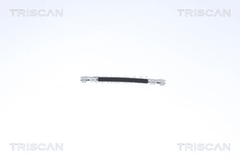 Bremsschlauch Hinterachse für RENAULT CLIO II THALIA I TWINGO WIND