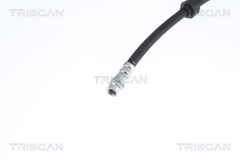 Bremsschlauch Hinterachse links für RENAULT KANGOO THALIA I Rapid