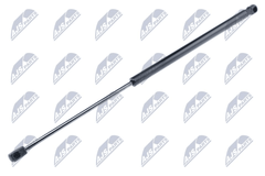 Gasfeder Koffer Laderaum für BMW FORD X1 C-MAX FOCUS