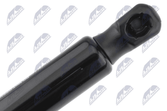 Gasfeder Koffer Laderaum hinten für TESLA MODEL 3