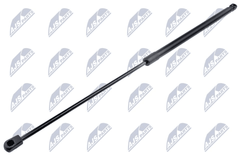 Gasfeder Koffer Laderaum für FORD C-MAX II