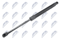 Gasfeder Koffer Laderaum für RENAULT MEGANE CC