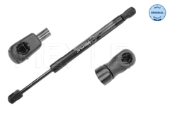 Gasfeder Koffer Laderaum für AUDI A6 C6