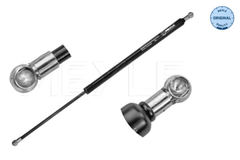 Gasfeder Koffer Laderaum für RENAULT GRAND SCÉNIC II