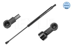 Gasfeder Koffer Laderaum für FIAT ABARTH 500 500C / 595C 695C 595 695