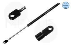 Gasfeder Motorhaube für BMW 5