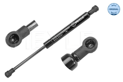 Gasfeder Motorhaube für BMW X5