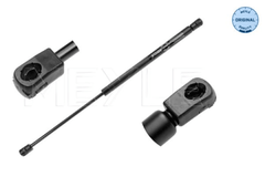 Gasfeder Koffer Laderaum hinten für MINI