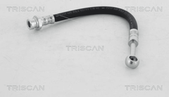 Bremsschlauch Hinterachse für HYUNDAI TERRACAN