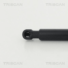 Gasfeder Koffer Laderaum hinten für BMW 4 Cabriolet Coupe