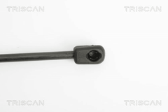 Gasfeder Koffer Laderaum hinten für OPEL ZAFIRA / FAMILY B