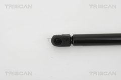 Gasfeder Motorhaube für JAGUAR VW X-TYPE I Kombi CALIFORNIA T5 Camper T6