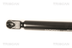 Gasfeder Koffer Laderaum für MAZDA 2