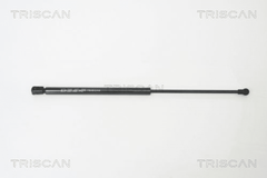 Gasfeder Koffer Laderaum für SEAT LEON