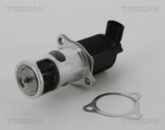 AGR Ventil für NISSAN RENAULT DACIA ALMERA II Hatchback MICRA III CLIO