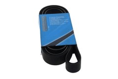 Keilrippenriemen für ALFA ROMEO LANCIA 145 156 164 166 GTV SPIDER KAPPA Coupe SW