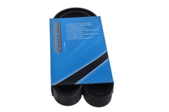 Keilrippenriemen für OPEL RENAULT MOVANO A Pritsche/Fahrgestell Bus Kasten