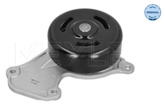 Wasserpumpe Motorkühlung für NISSAN RENAULT DACIA MICRA V CLIO TWINGO III LOGAN
